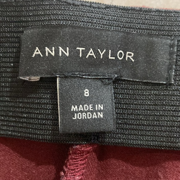 Ann Taylor Chic Skinny Pants - Picture 7 of 10
